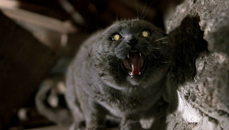 Pet Sematary 1